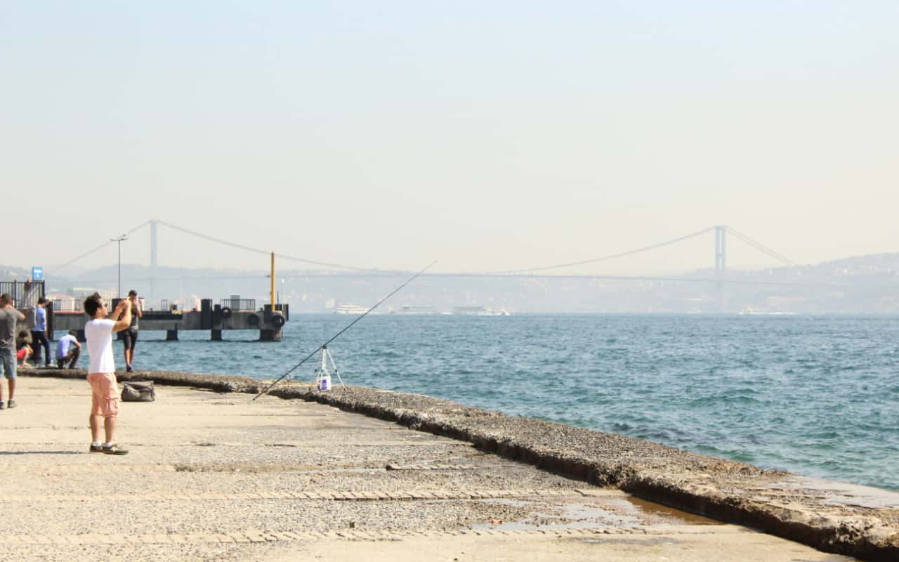 Amazing Coincidences facts