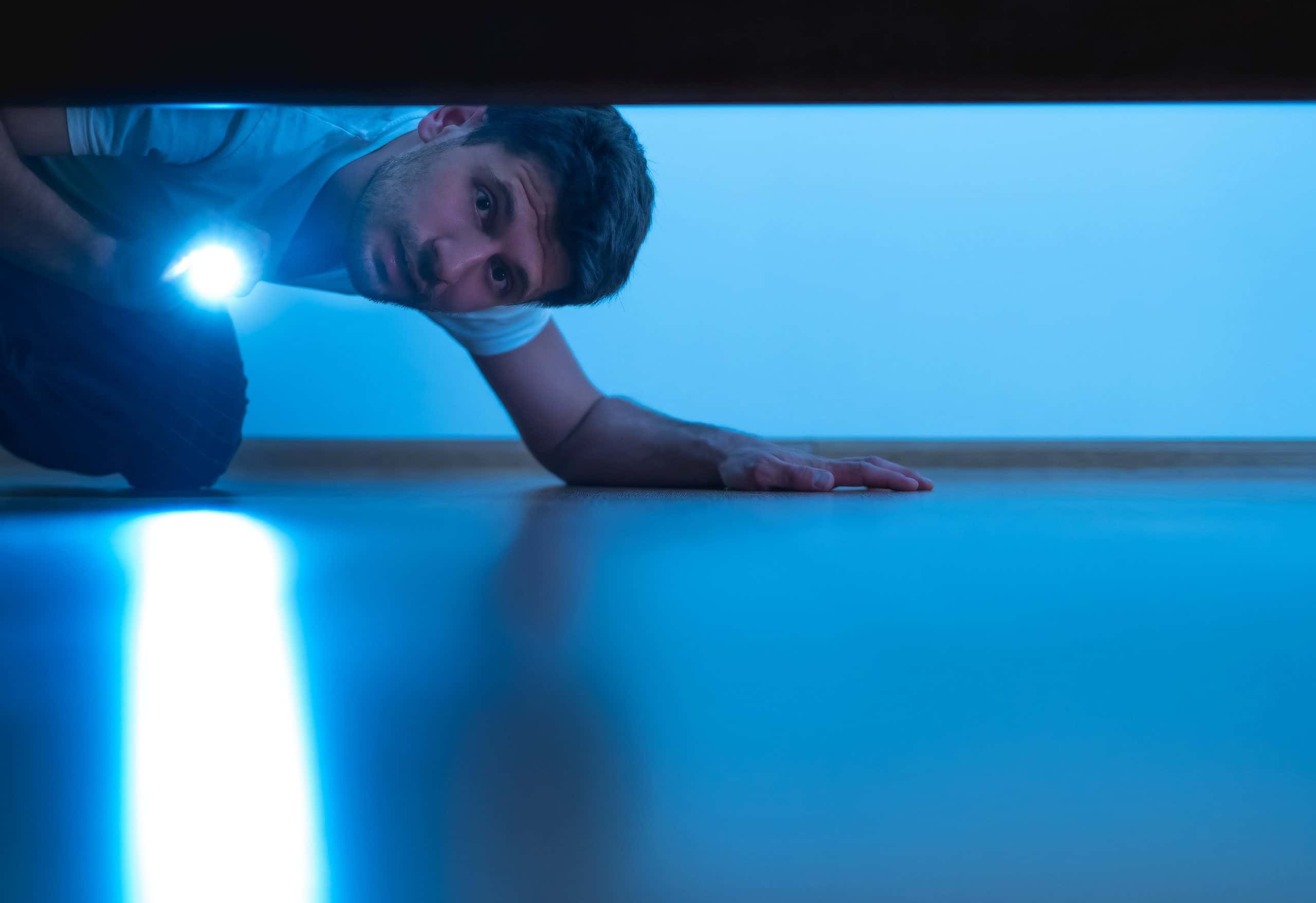 Private Investigators Facts