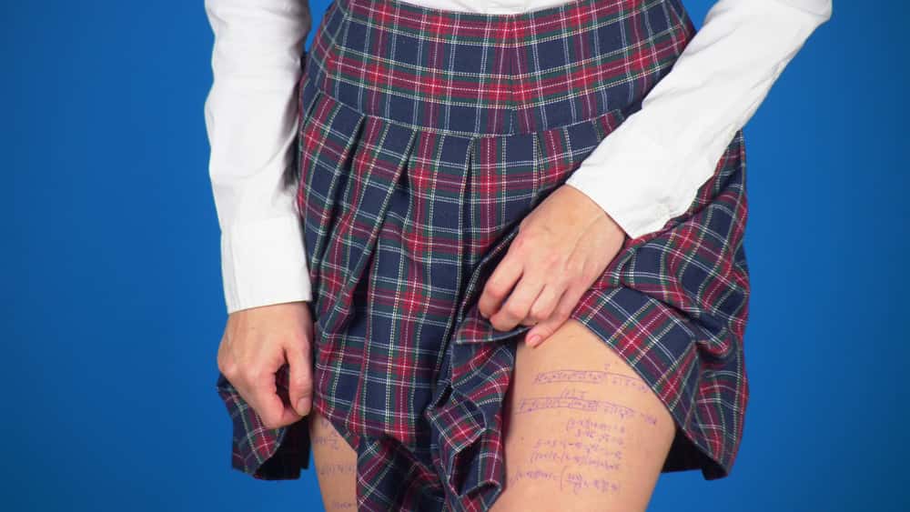 Teachers Cheaters Facts