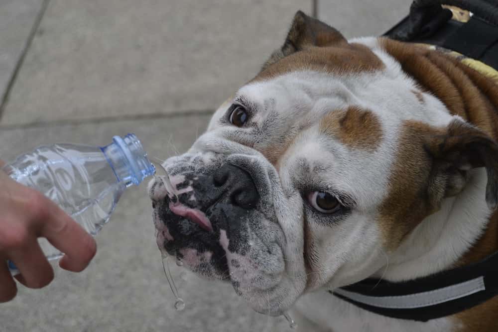 Weirdest Rich People Facts