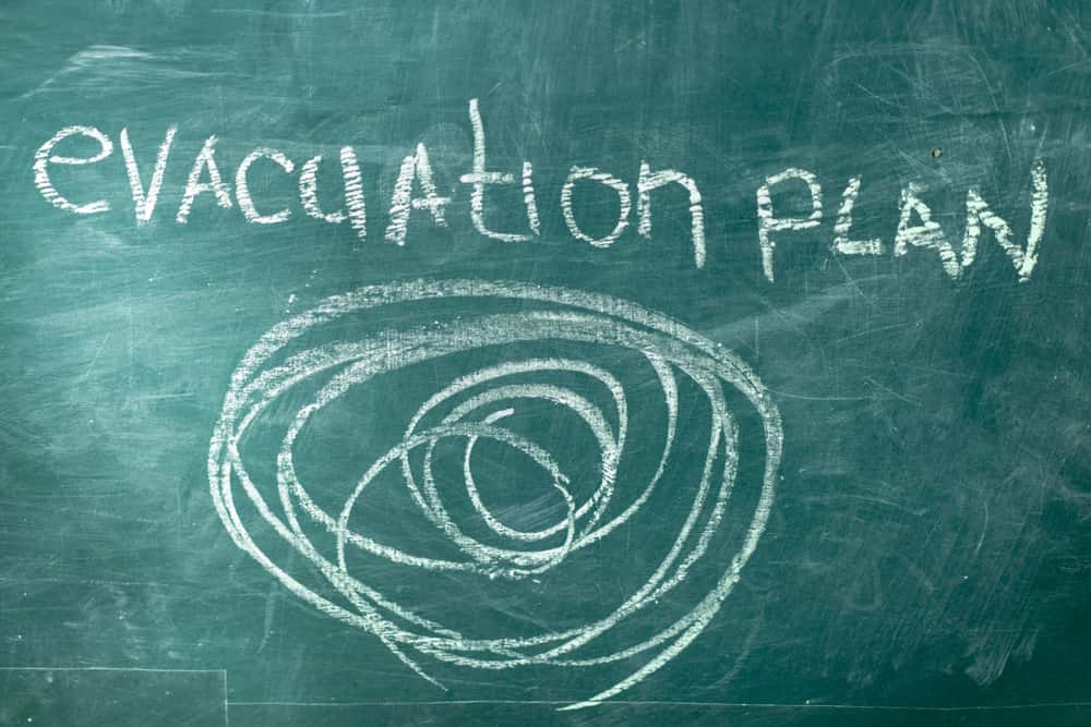 That Kid In School Facts