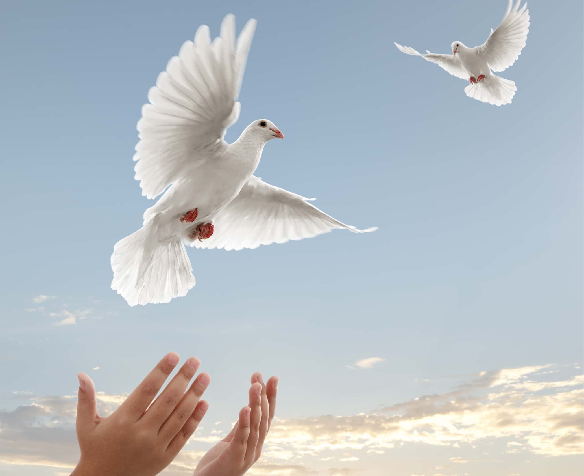 Crazy funerals facts