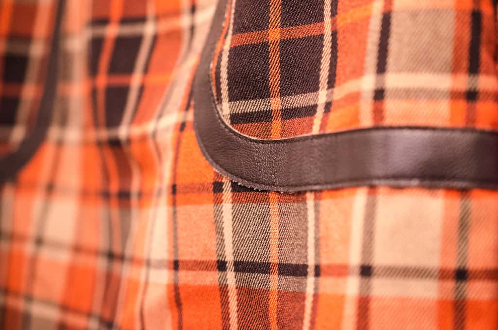 Breaking the Rules Facts