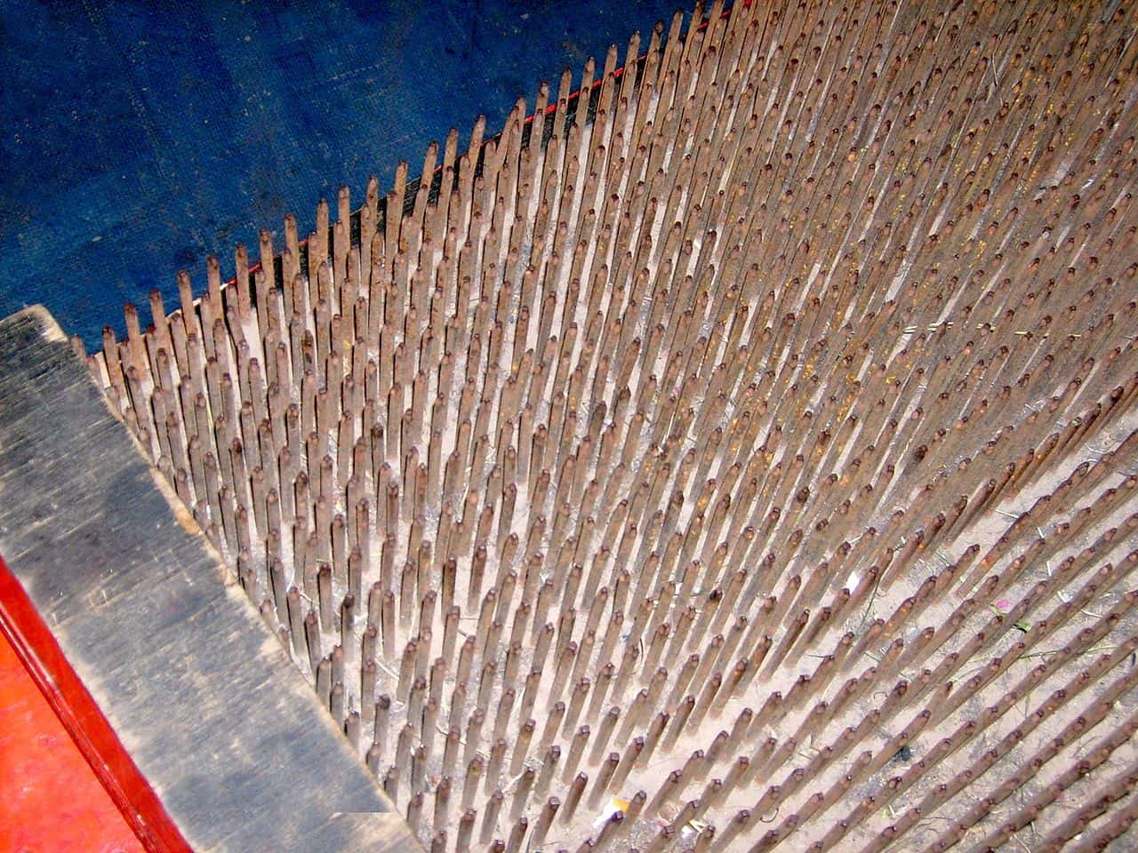 Creepy Teachers Facts