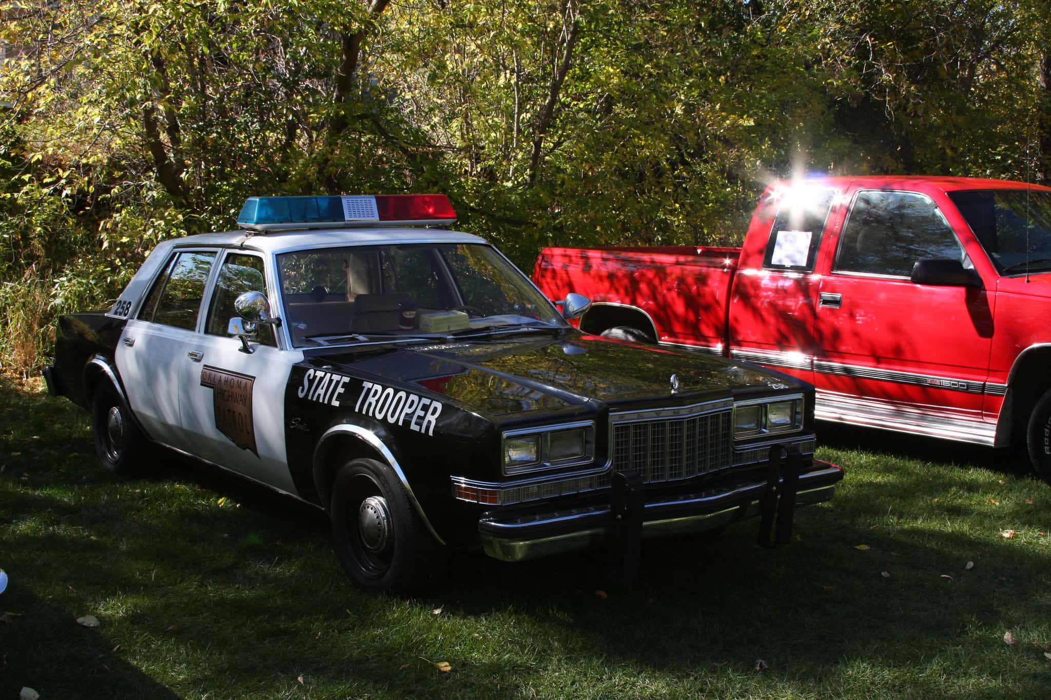 Said To Police facts