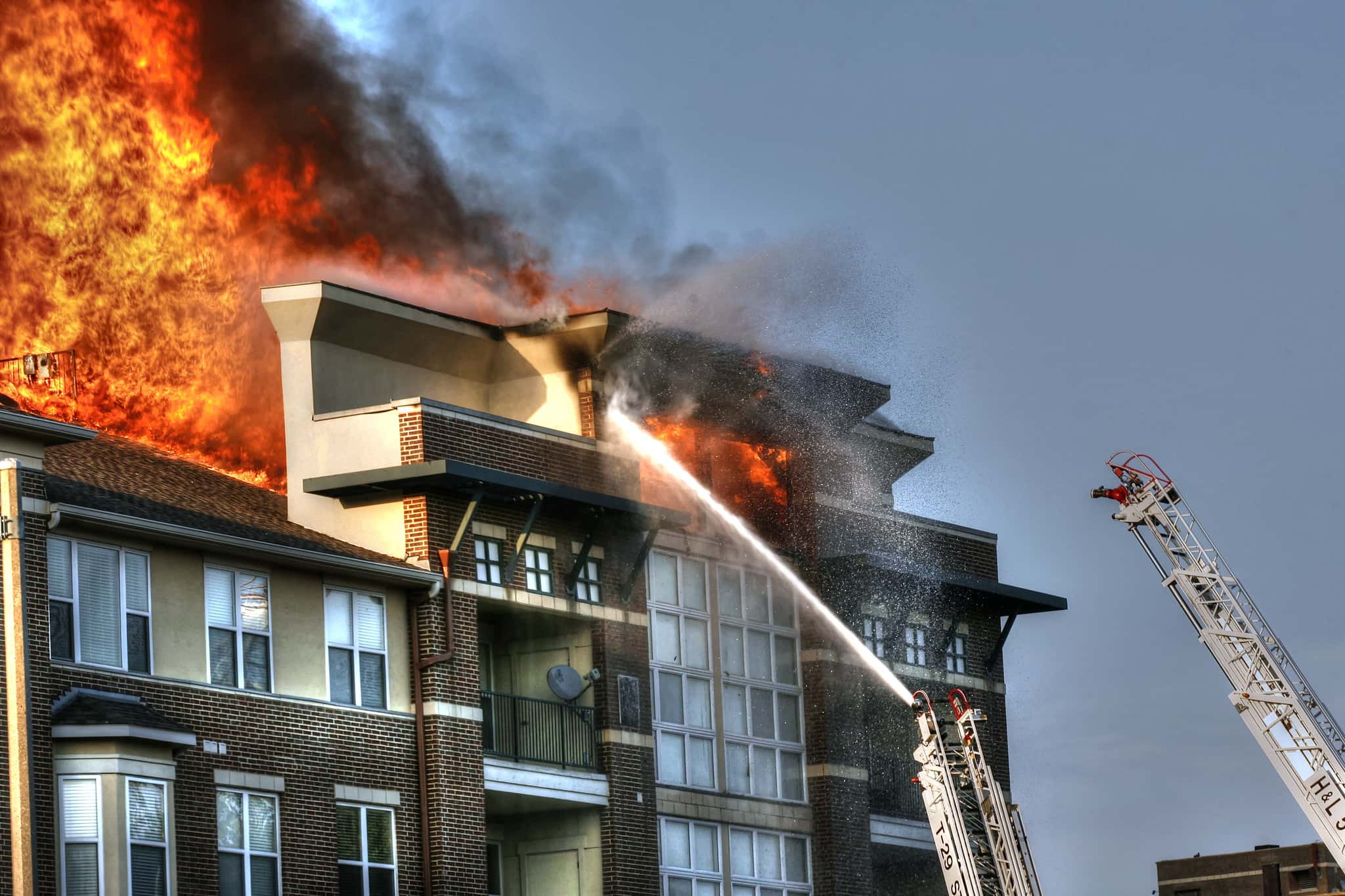 Teacher Excuses facts