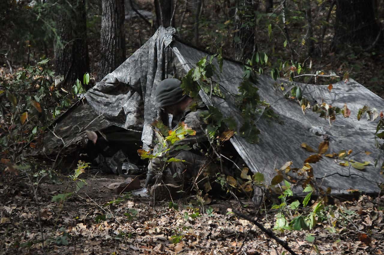 Stopped Caring Facts