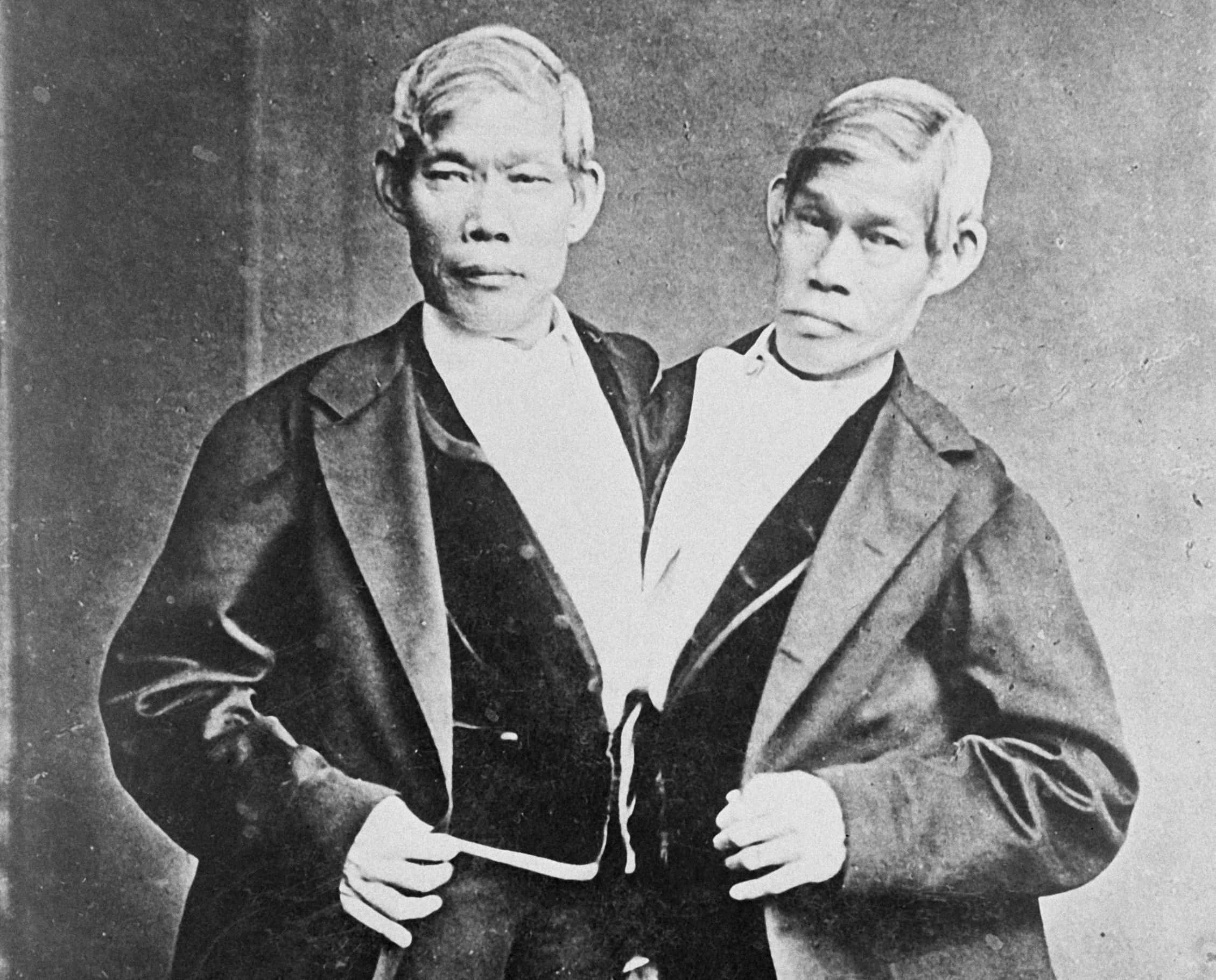 Dramatic Weddings Facts