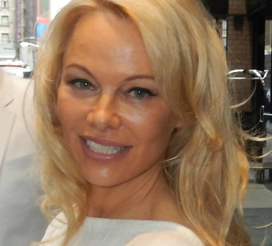 Pamela Anderson Facts