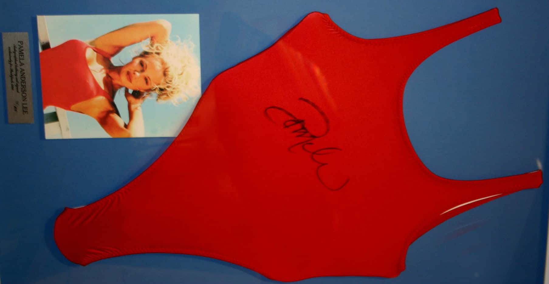 Pamela Anderson Facts