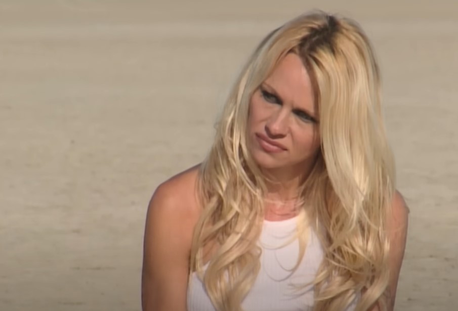 Pamela Anderson facts