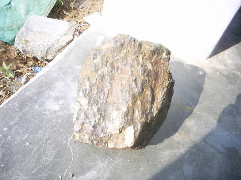 Patients Faking Facts