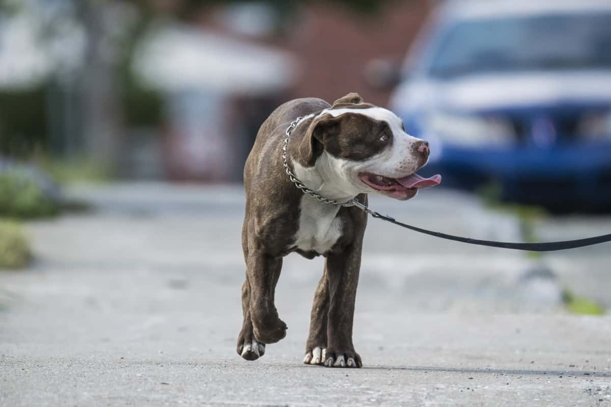 Glitch In The Matrix Facts