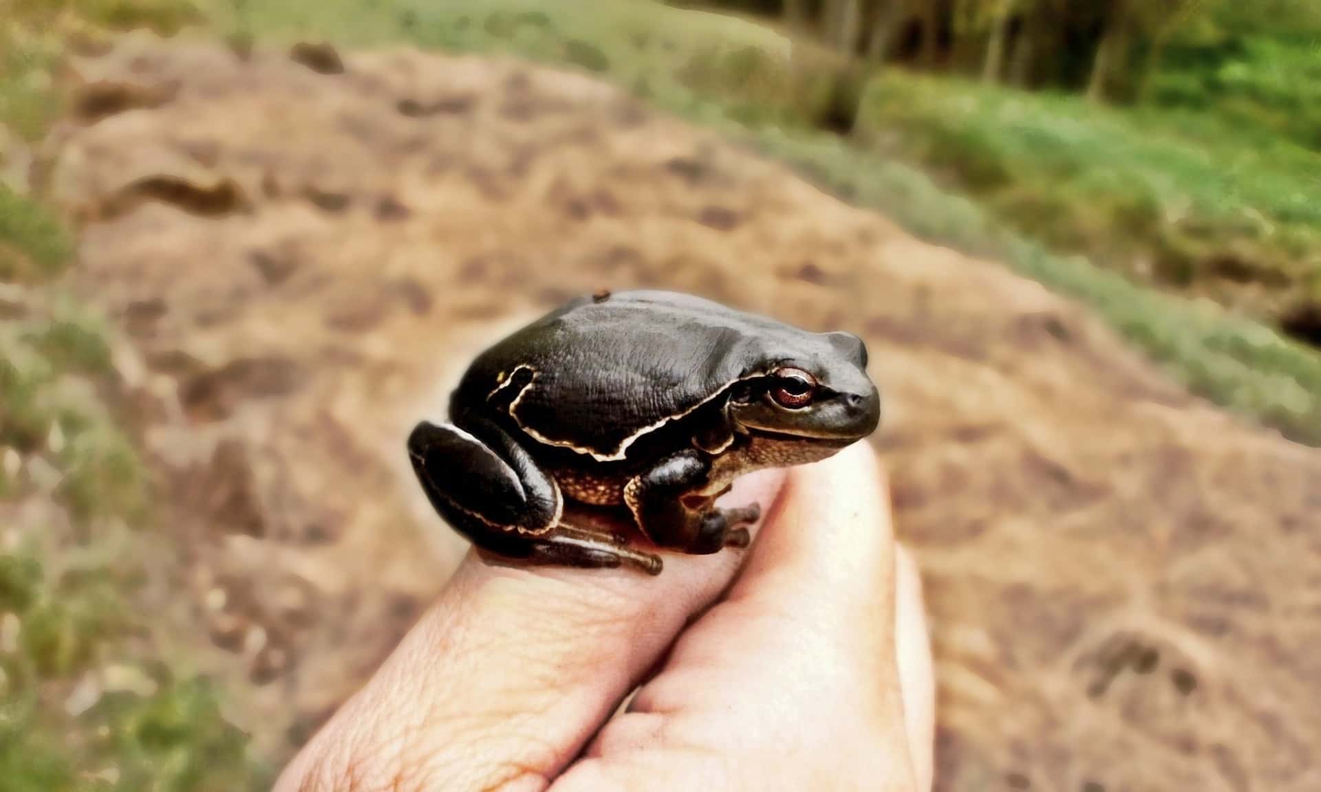 That Guy in Office facts