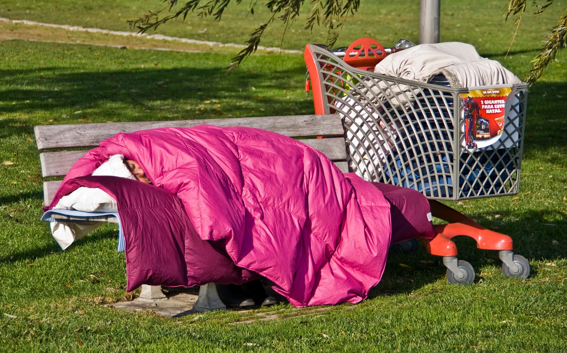 Stopped Caring Facts