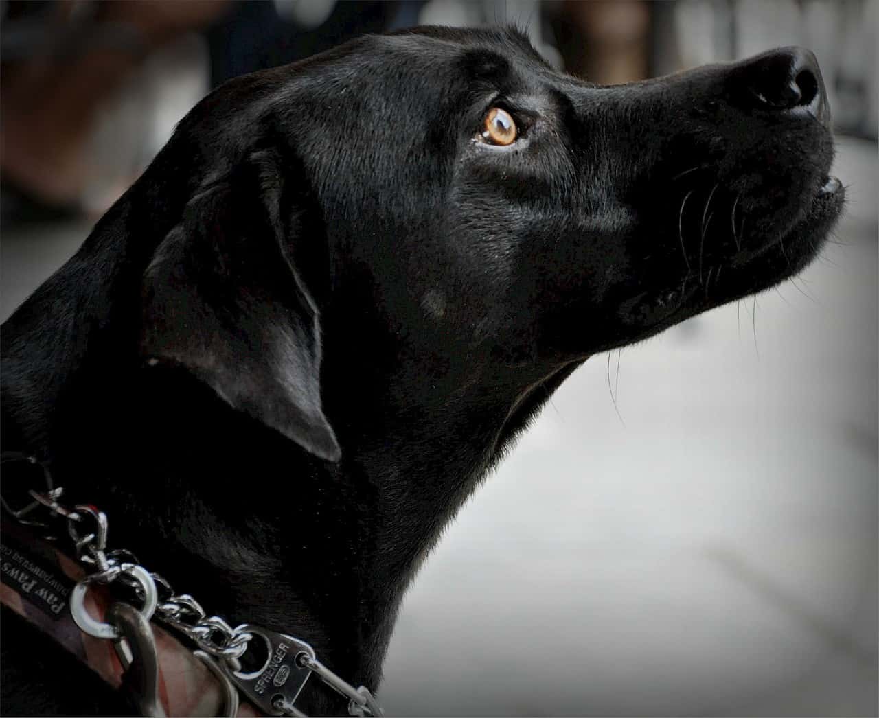 Glitch In The Matrix Facts