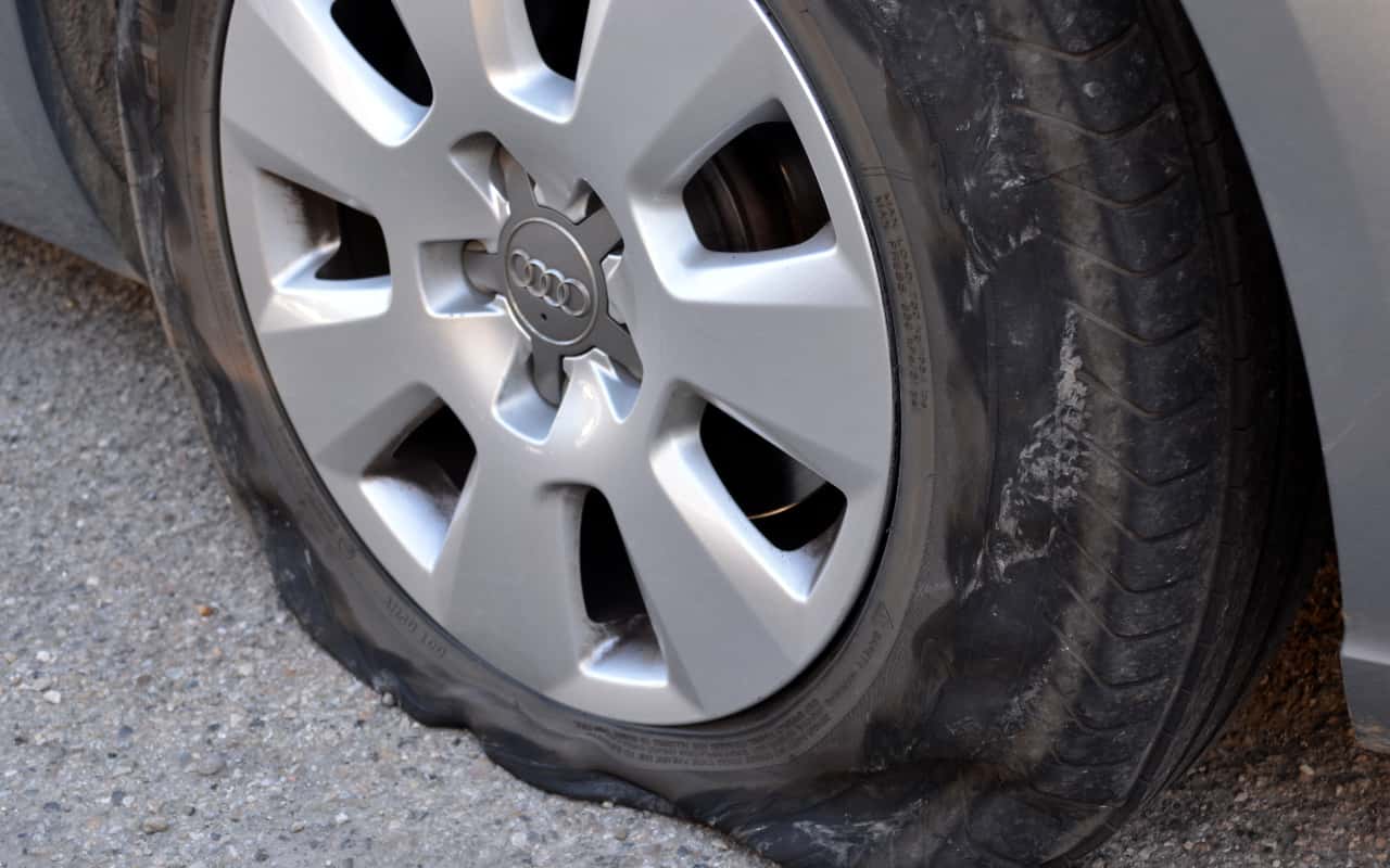 Teacher Excuses facts