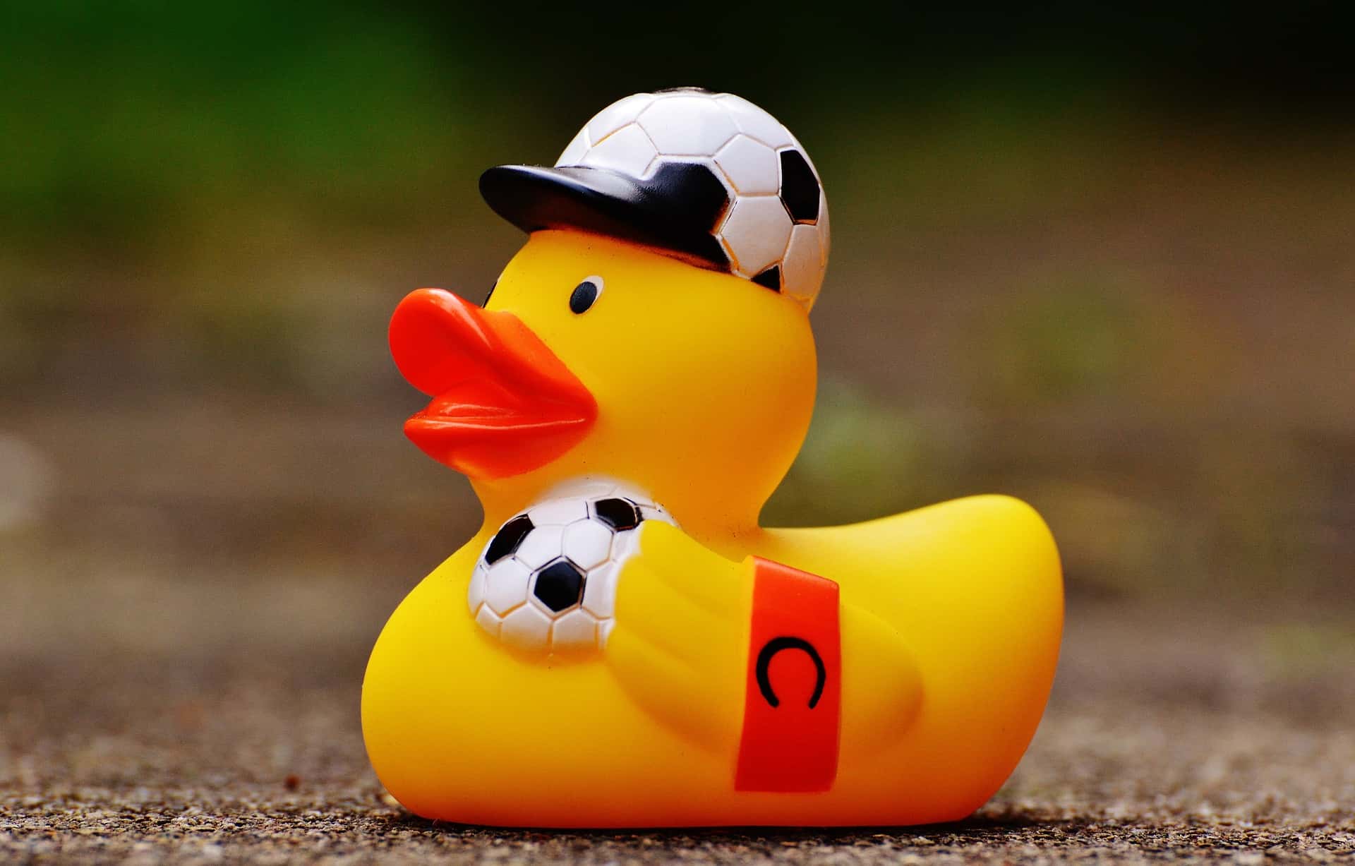 Worst Guests Rubber duck, Soccer, European championship 2016 image