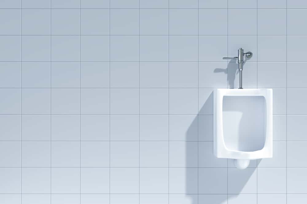 That Guy in Office facts