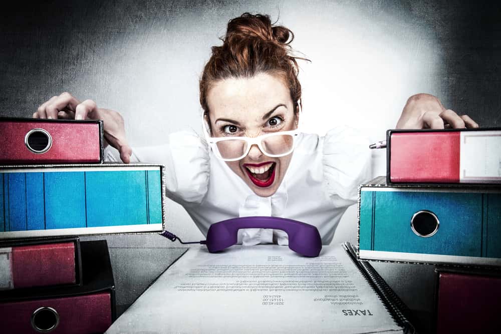 That Guy in Office facts