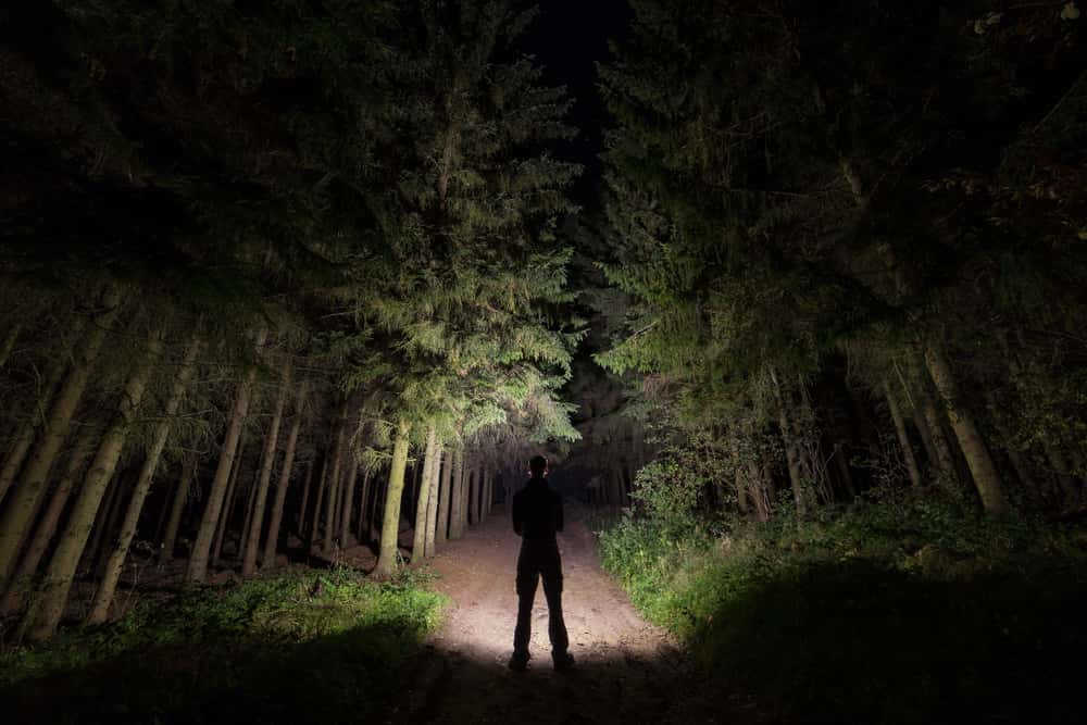 Paranormal Explained Facts