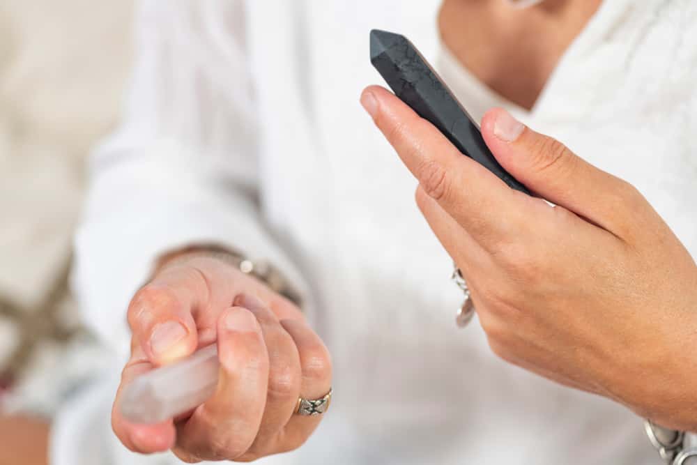 That Guy in Office facts