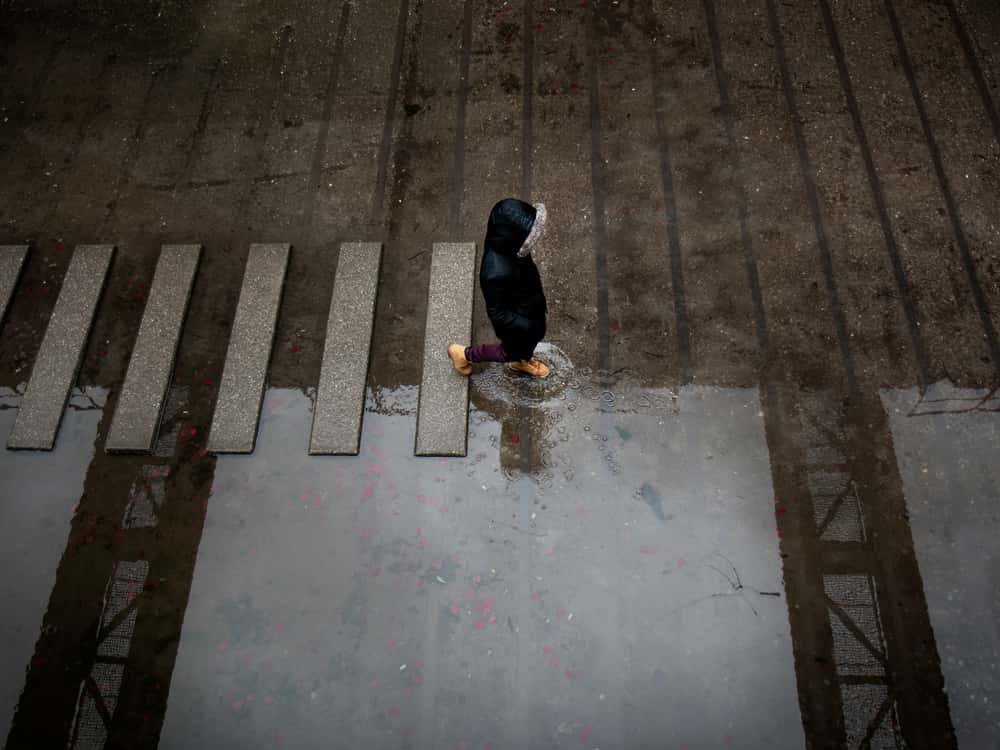 Teacher Excuses facts