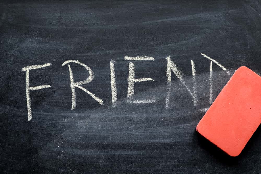 Friends For Never facts