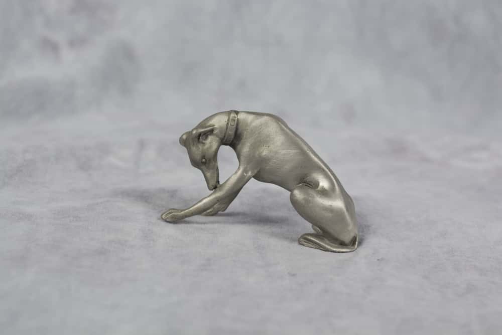 Glitch In The Matrix Facts