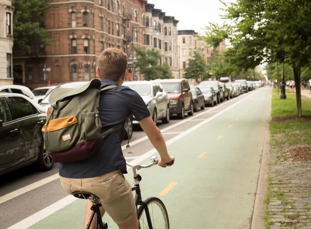 Teacher Excuses facts