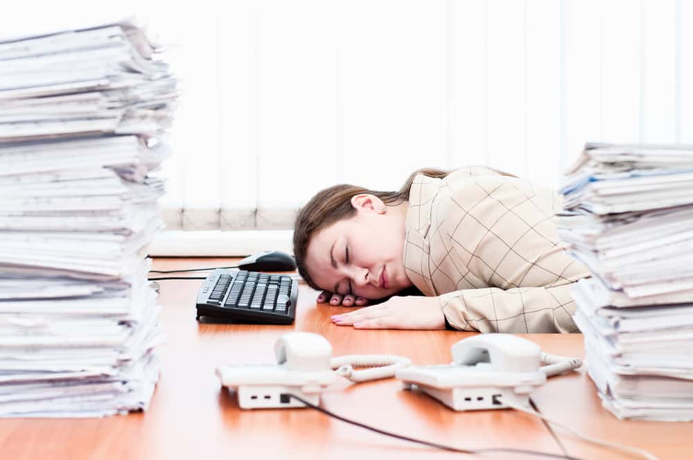 That Guy in Office facts