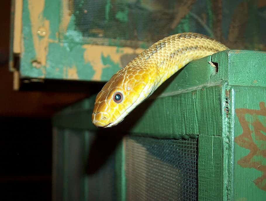 Horrible Bosses Facts