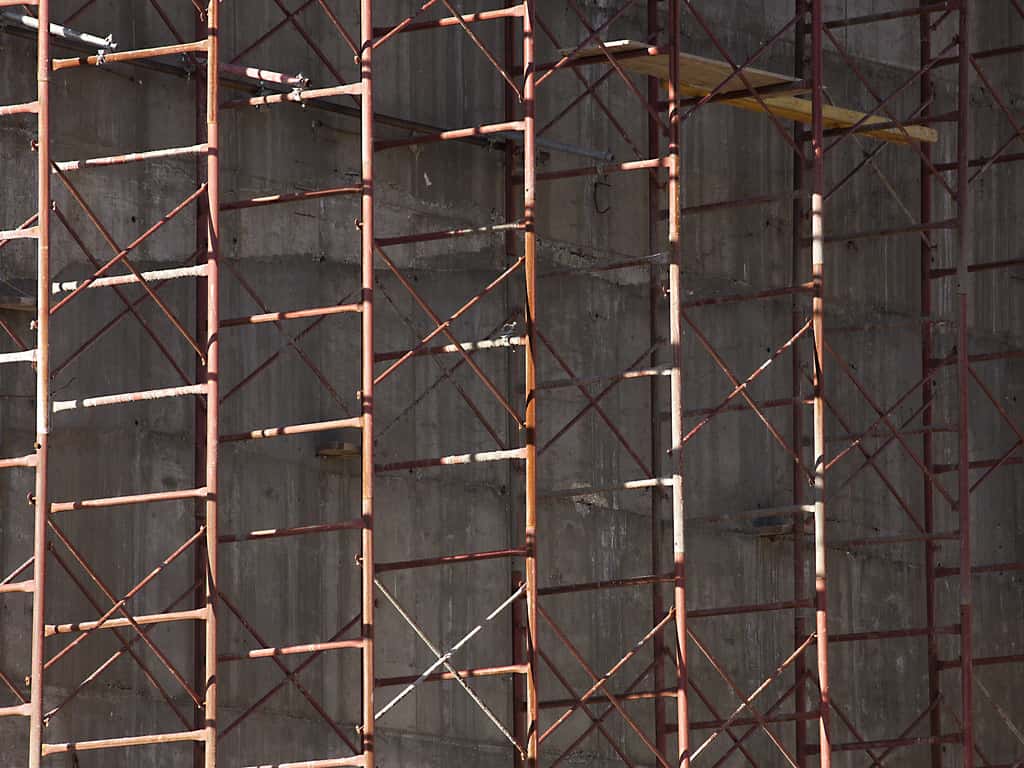 Rule Made Because of You Facts