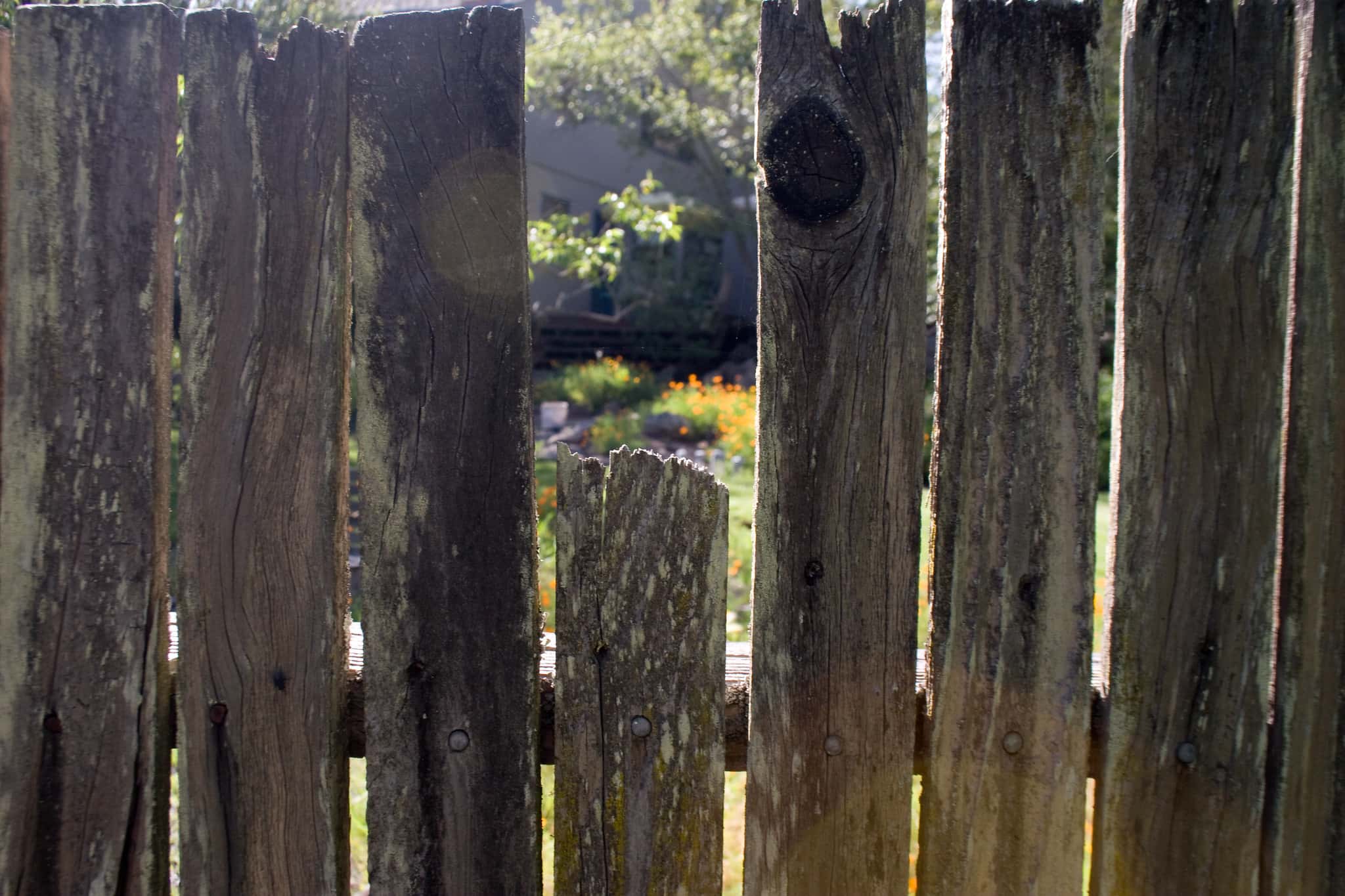 Worst Thing Mom Caught Facts