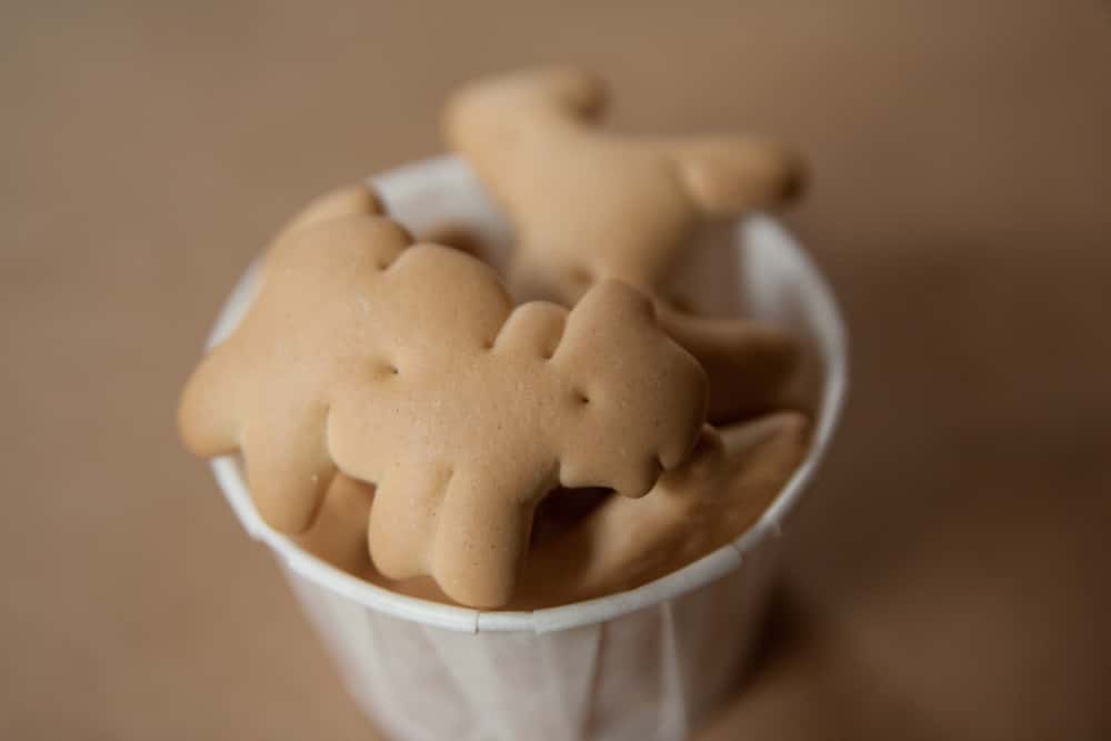 Parenting Backfired Facts