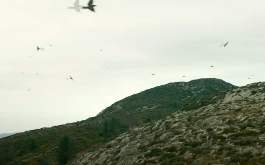 Ragnar Lothbrok facts