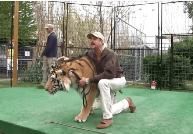 Tiger King Facts