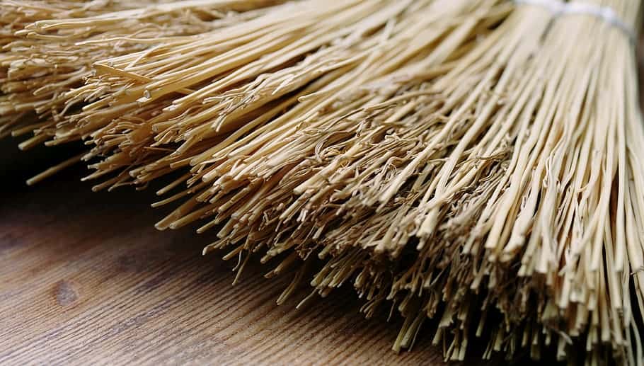 History's Weirdest People Facts