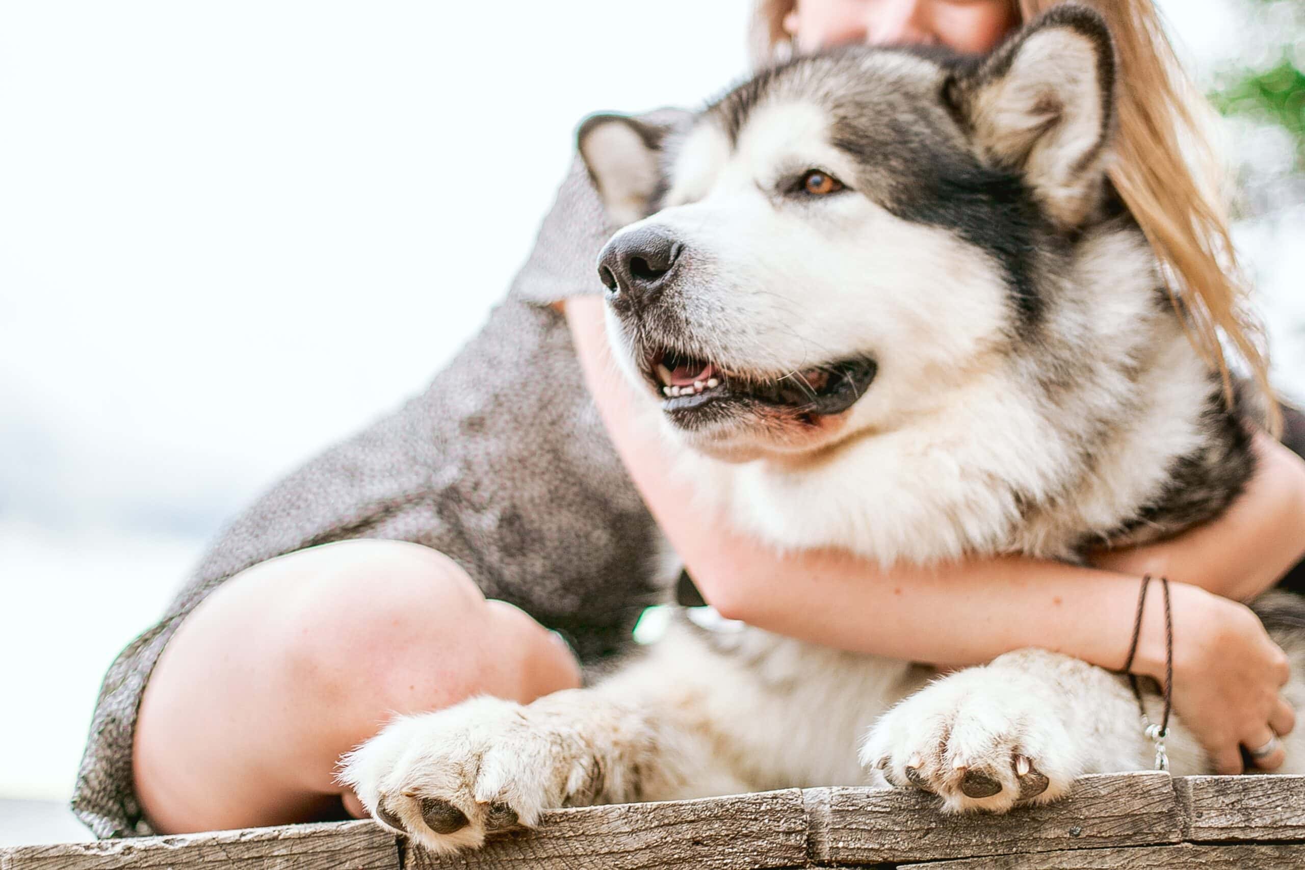 Make You Smile Facts