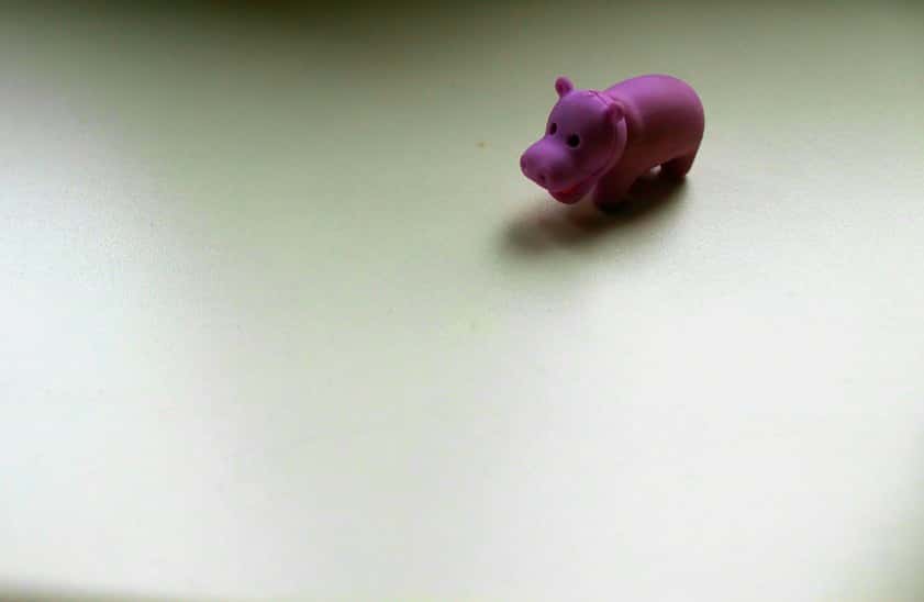 Weird Couple Secrets Facts