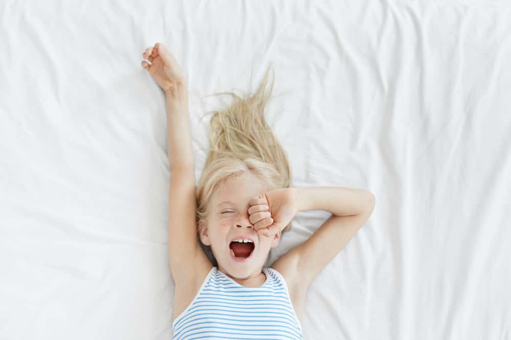 Petty Revenges facts