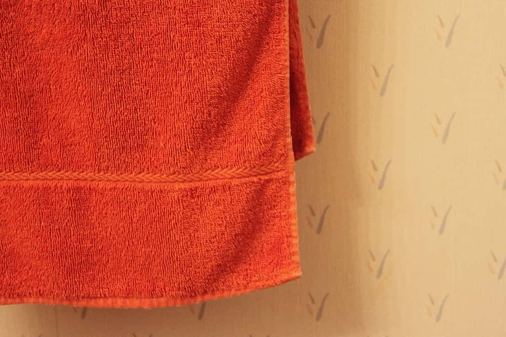 Weird Kids Caught Facts