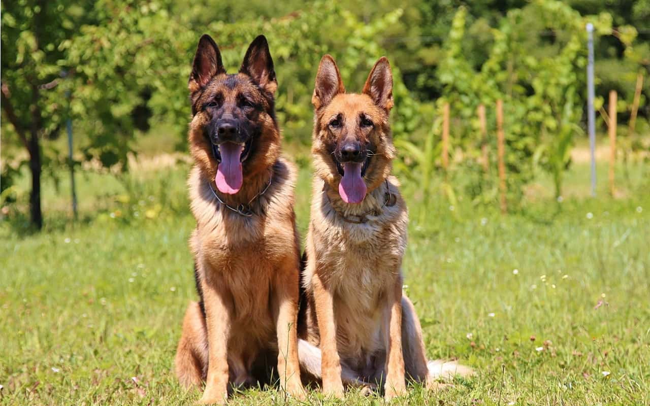 Creepy Experiences facts