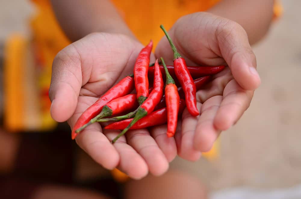 Best Arthritis Creams