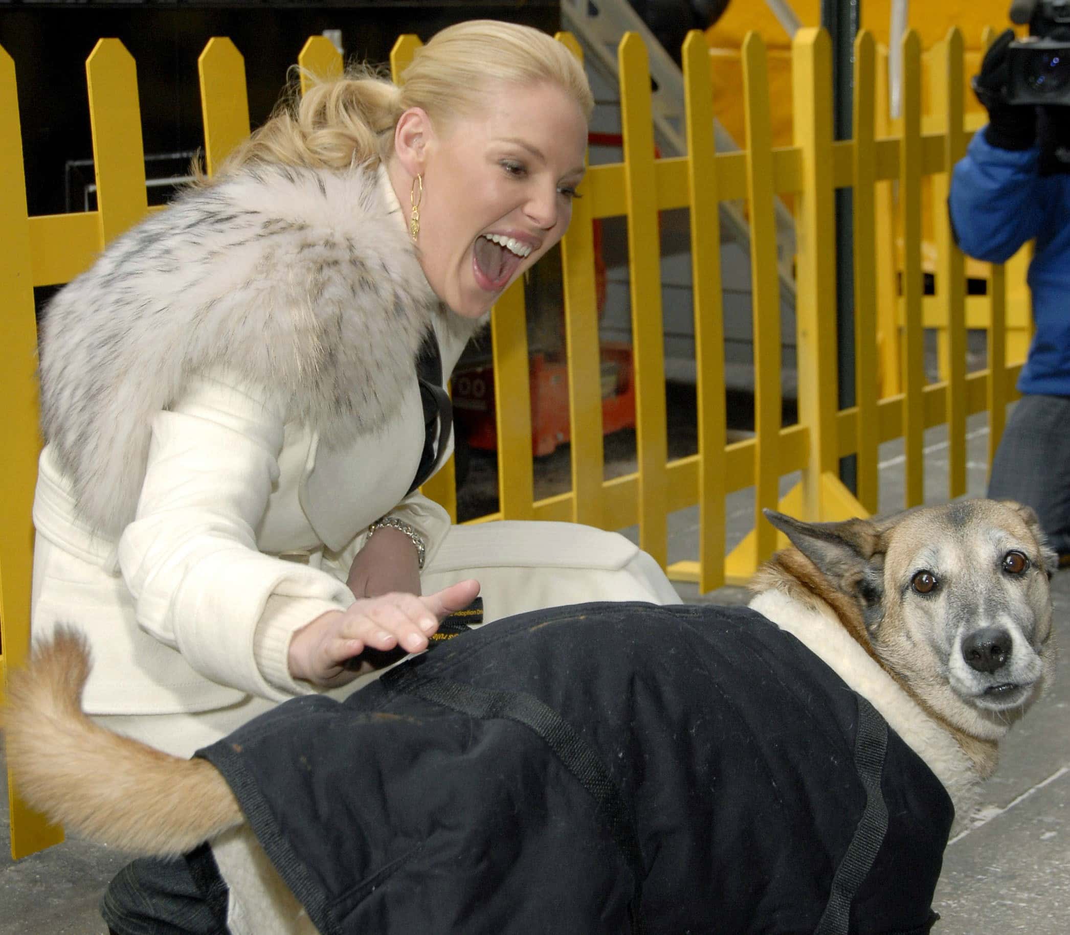 Katherine Heigl Facts