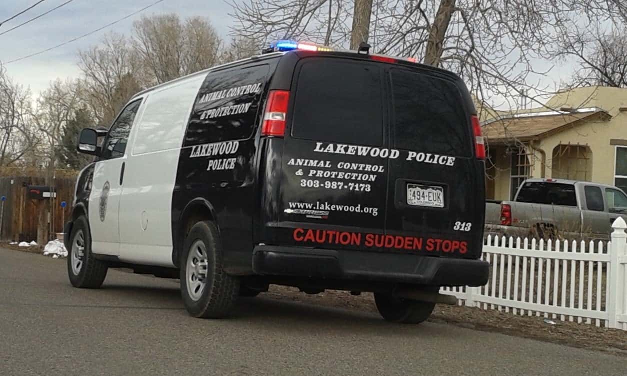 False Accusations facts