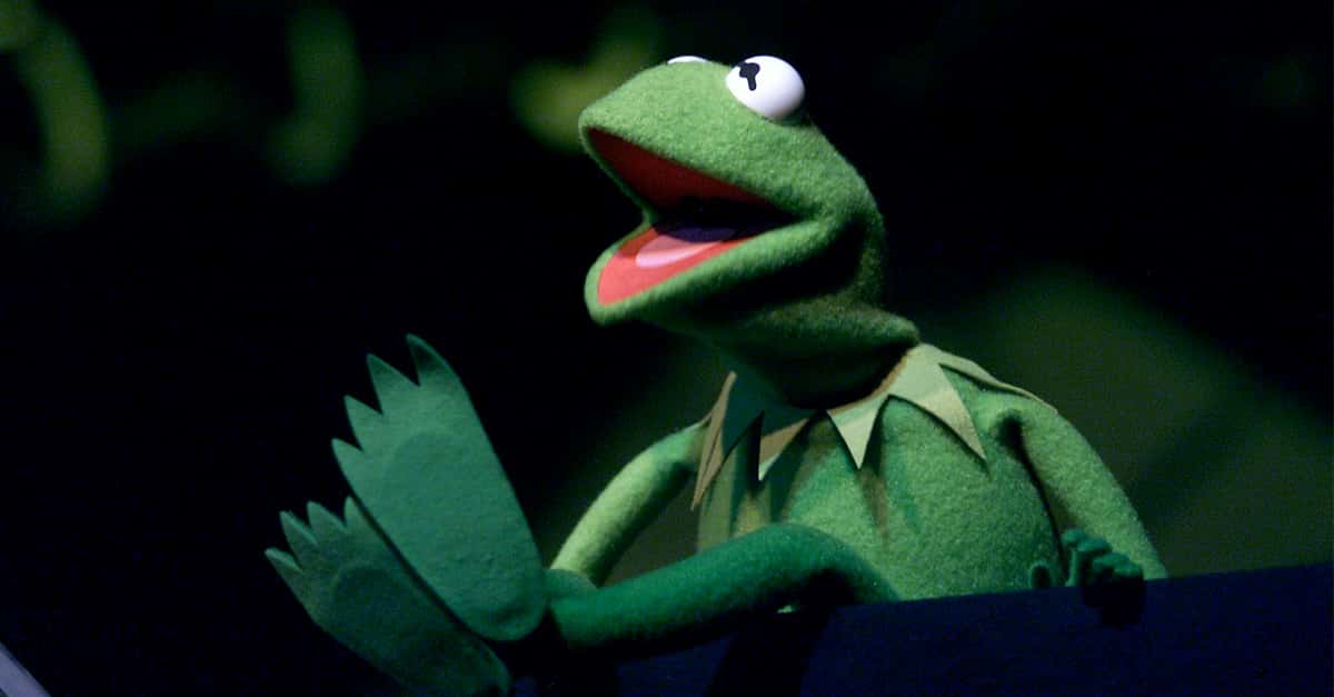 Magical Facts About The Muppets