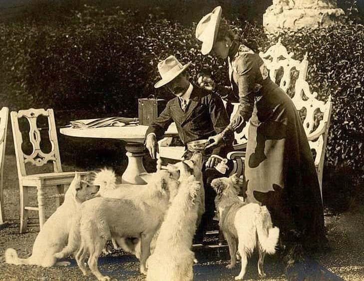 Elisabeth Marie Facts