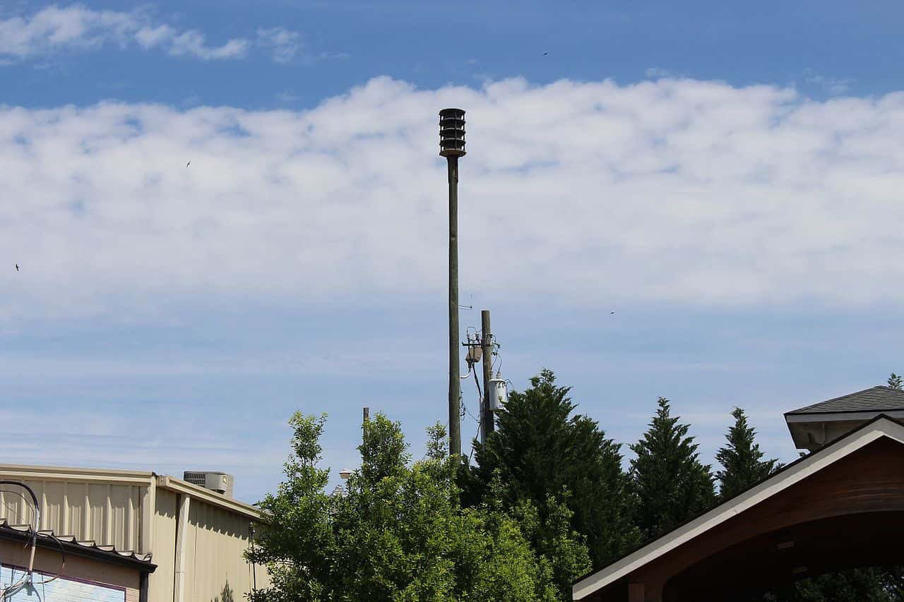 Worst People On Earth facts