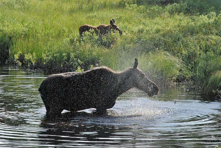 Need to Leave Now facts